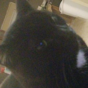 Meet your Posher, Josh